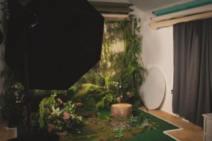 The Fairy Photographer - The fairy dell set